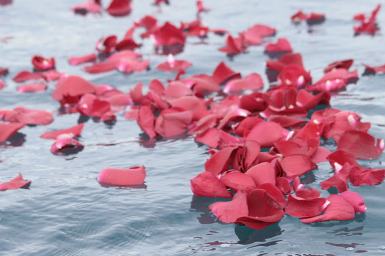 一凛のサービスについて