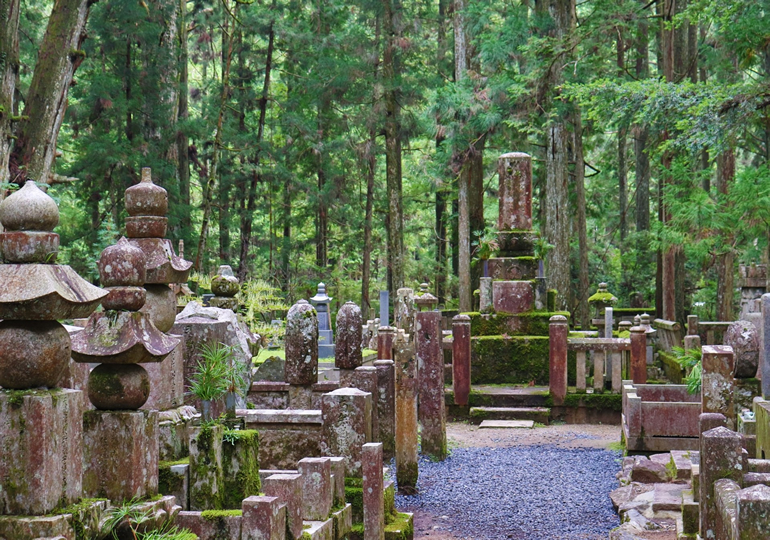山奥にある古く苔に覆われた墓石の数々