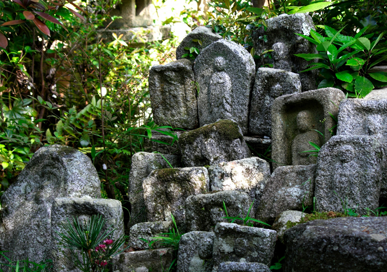 草木が生い茂る中にある沢山の墓石