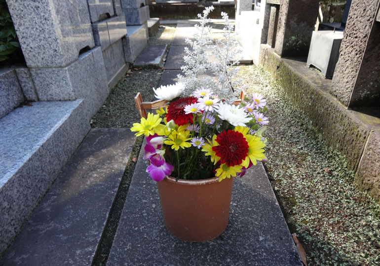 墓地の通路に置かれた献花