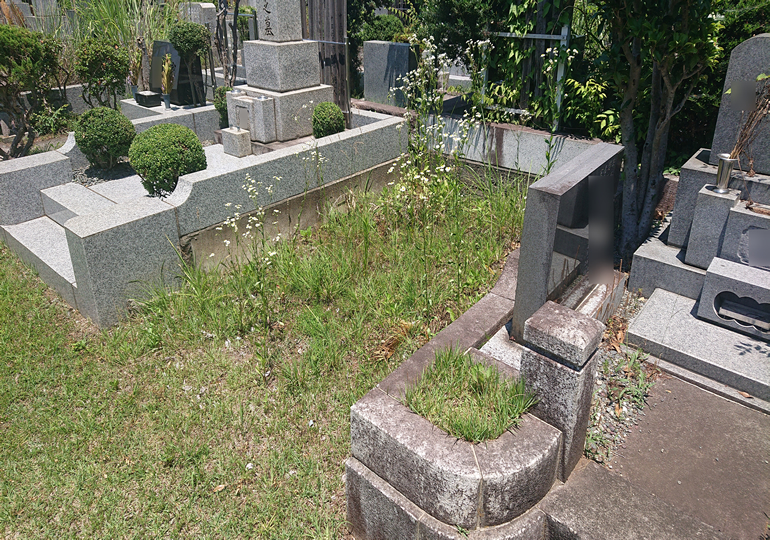 墓じまいが増えています