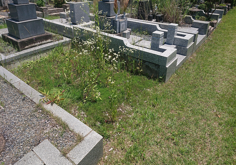 墓じまいが増えています