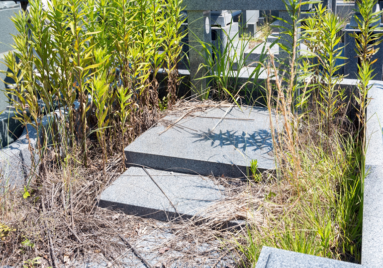 墓じまいが増えています