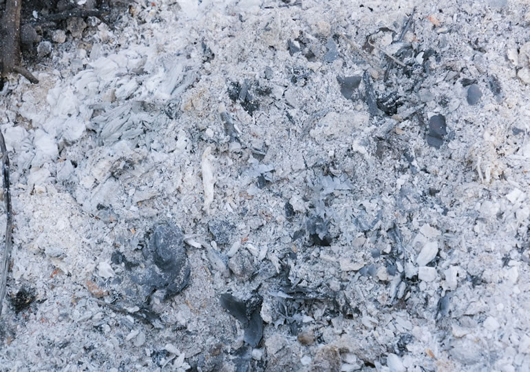 火葬された遺骨をイメージした灰の画像
