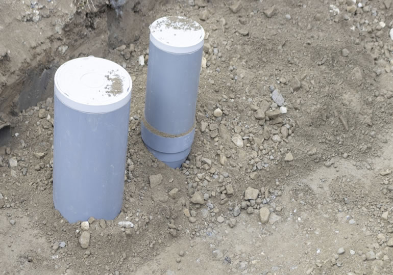 樹木葬とは何か？