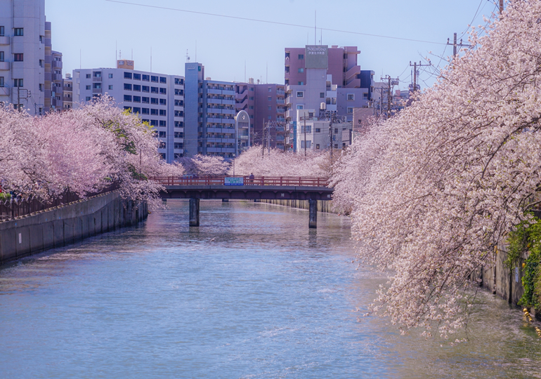 横浜市南区の街並み