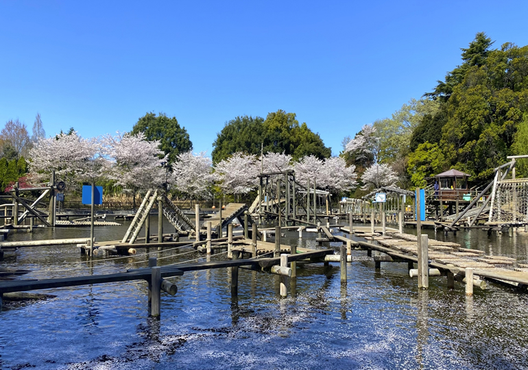 野田市の街並み