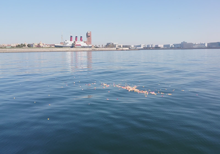 ディズニーシーの沖合でおこなった海洋散骨の画像