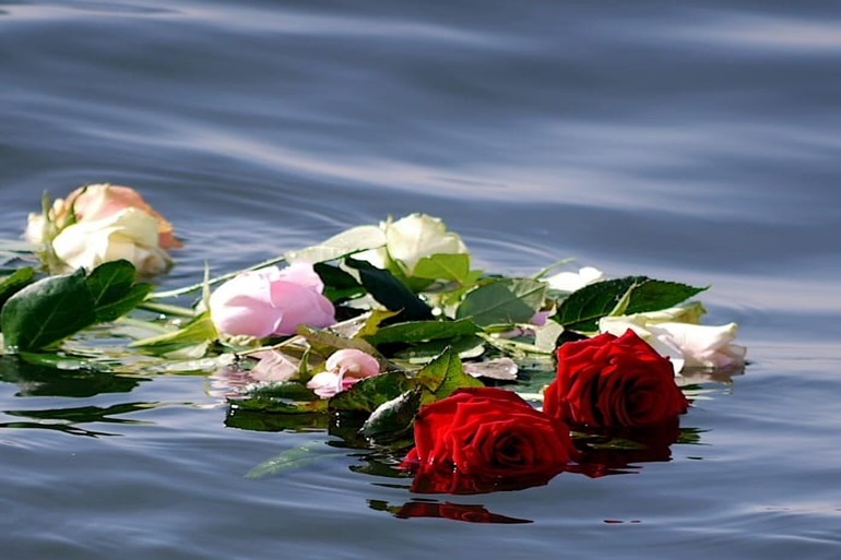 海洋散骨の為に海に撒かれた薔薇の花束