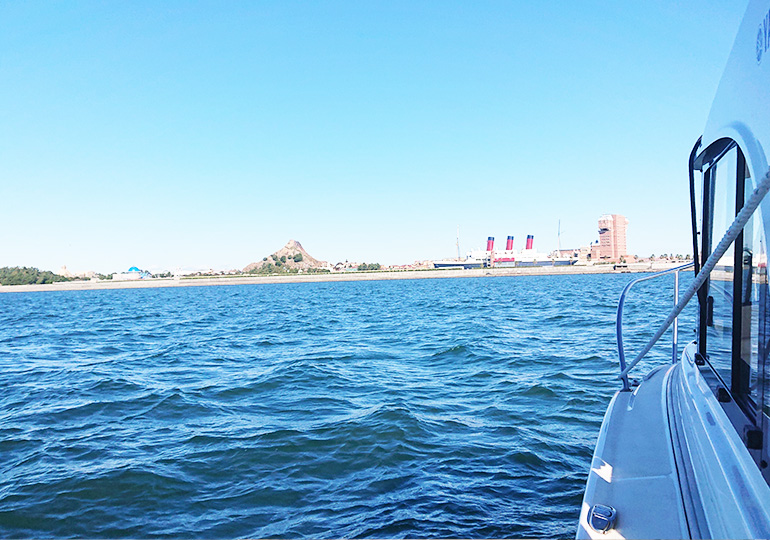 代理で散骨いたします