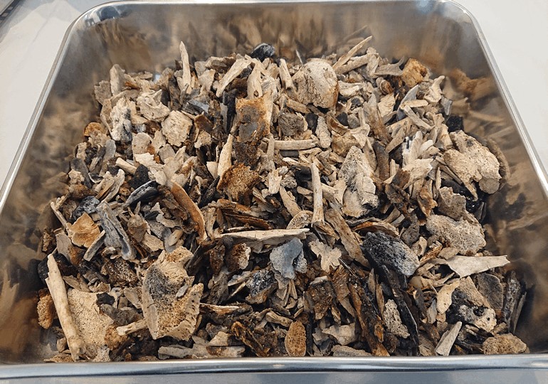 超音波洗浄できれいになった遺骨