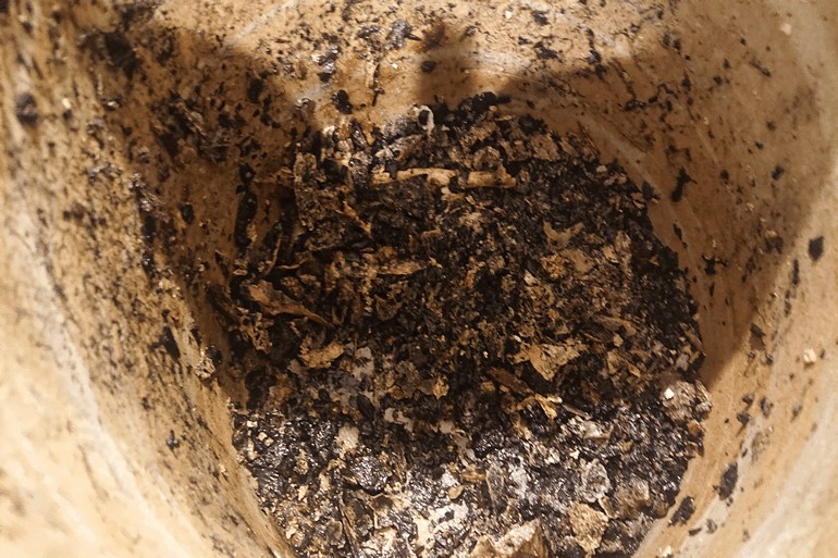 汚れた遺骨を専用のトレーに移した画像