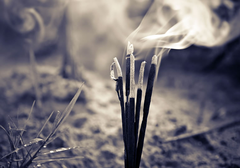 残った遺骨はどうなるの？