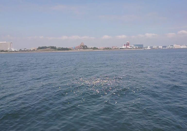 ディズニーシーの沖合でおこなった海洋散骨の画像