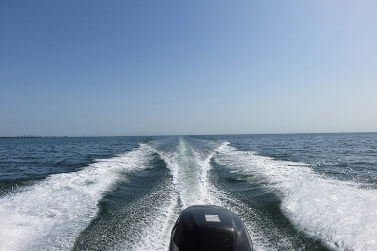 散骨の値段について