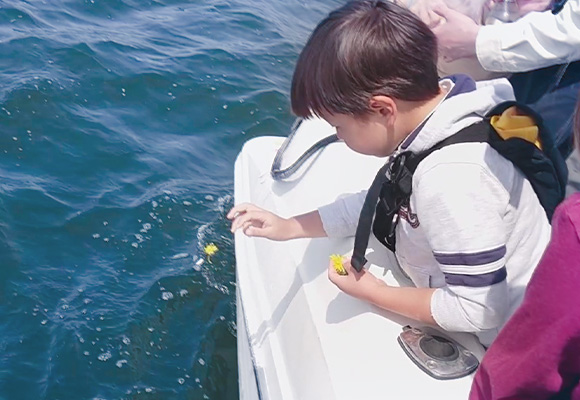 散骨　お客様の声