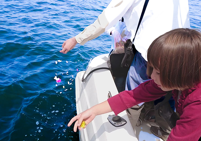 はじめての方へ